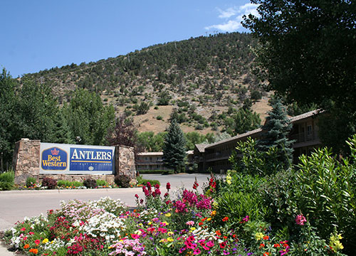 Best Western Antlers Hotel flower bed 