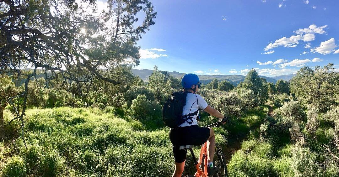 person biking in green landscape