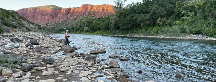 woman fishing beside the river