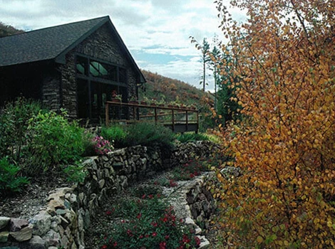 mitchell-creek-bed-and-breakfast-gallery-4