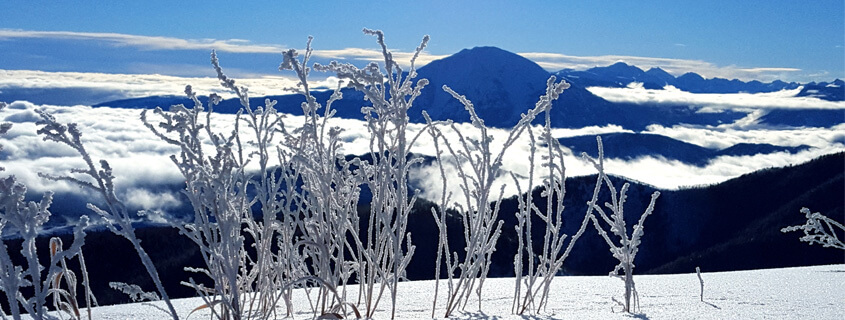 scenic snowy photo of Mt. Spopris