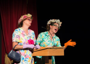 performers on stage at the Vaudeville Revue