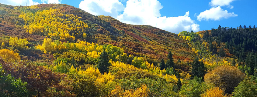 vibrant fall colors in Glenwood Springs