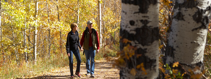 Couple walking and holding hands in fall