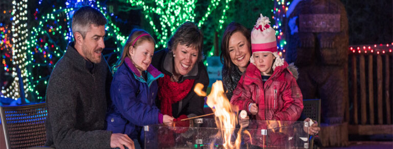 Winter on the Mountain, family making smores